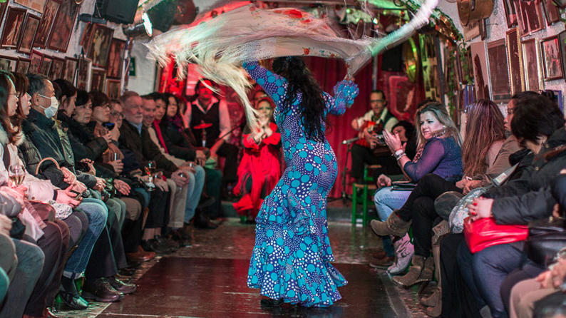 espectaculo flamenco