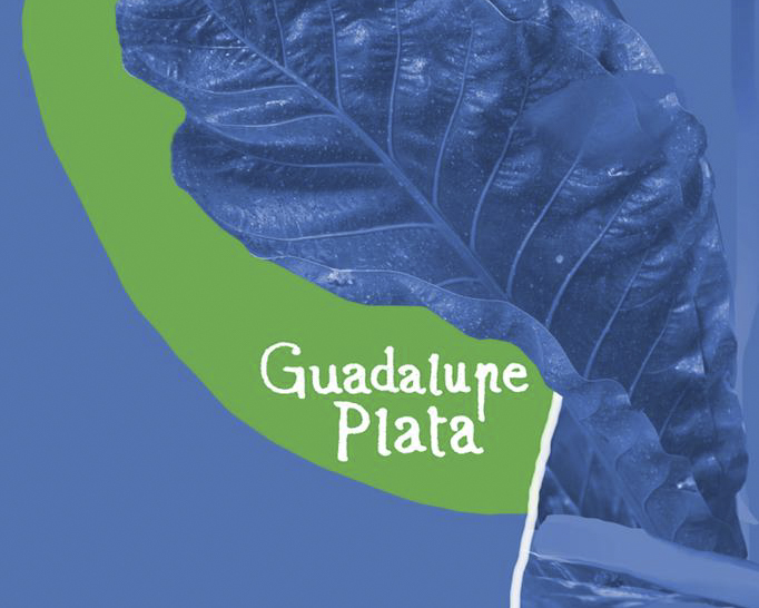 guadalupe plata en sons al botanic 1649790087448564