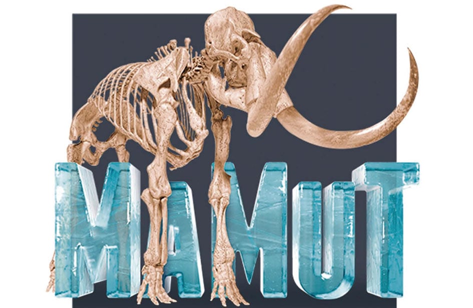 expo mamut