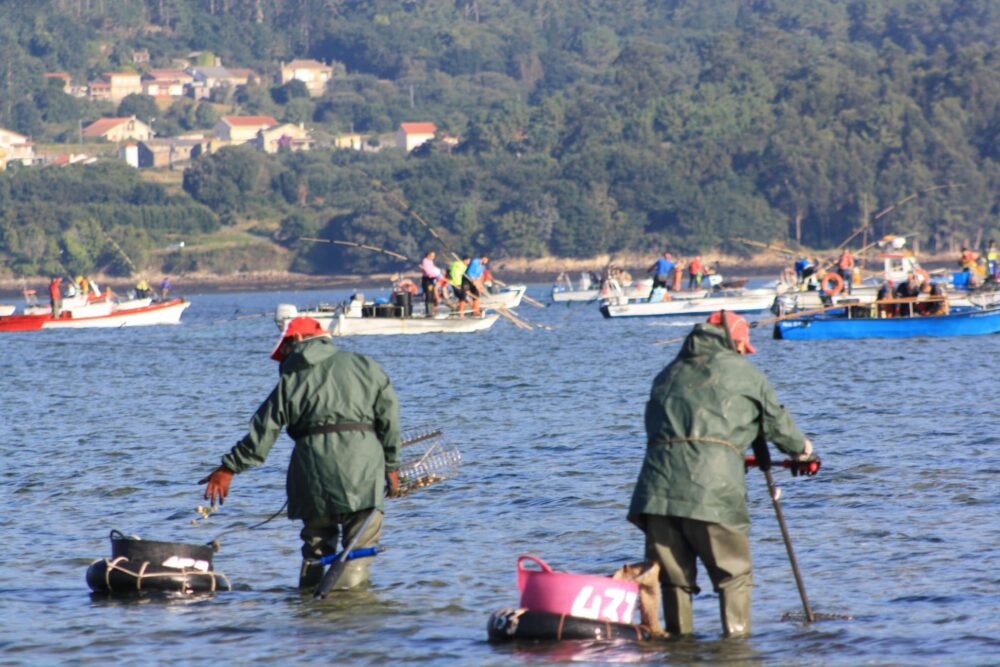 Galicia pesca 1
