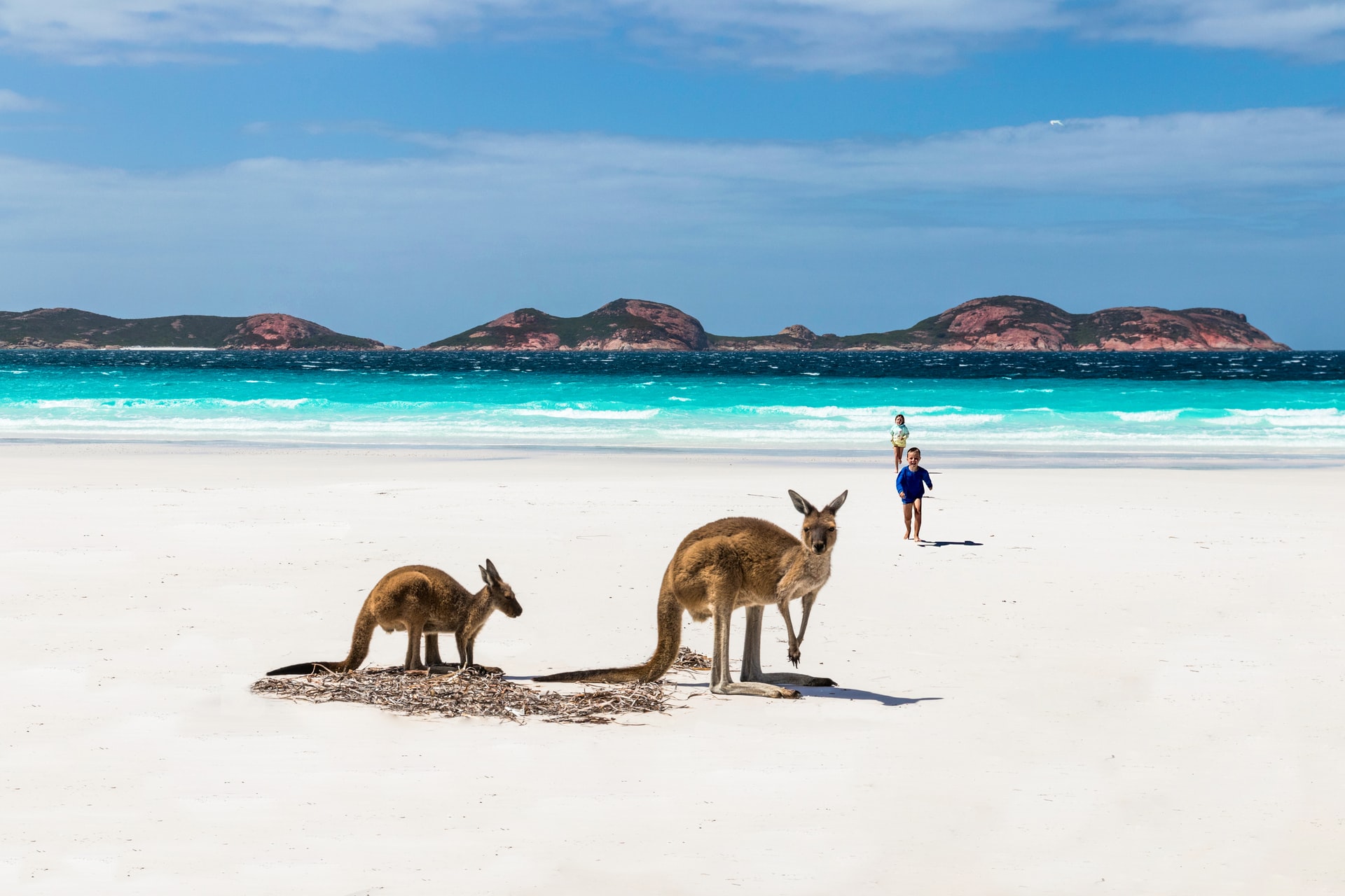 Kangaroo Island Visado a Australia