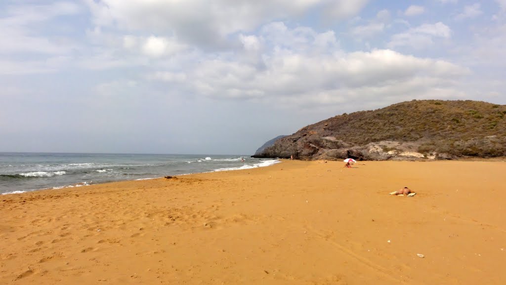 Playa de las cobaticas para perros Murcia