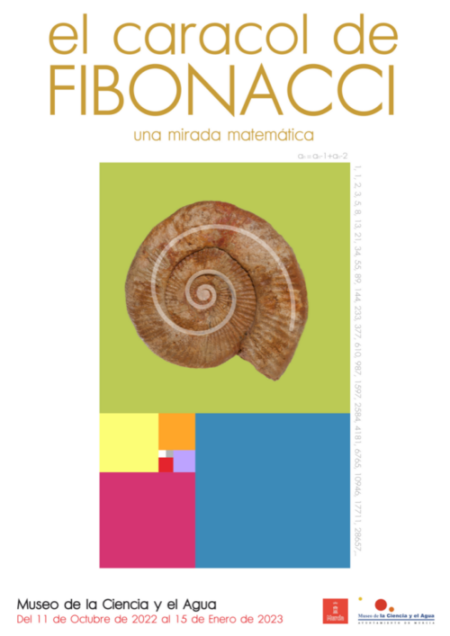 El caracol de Fibonacci