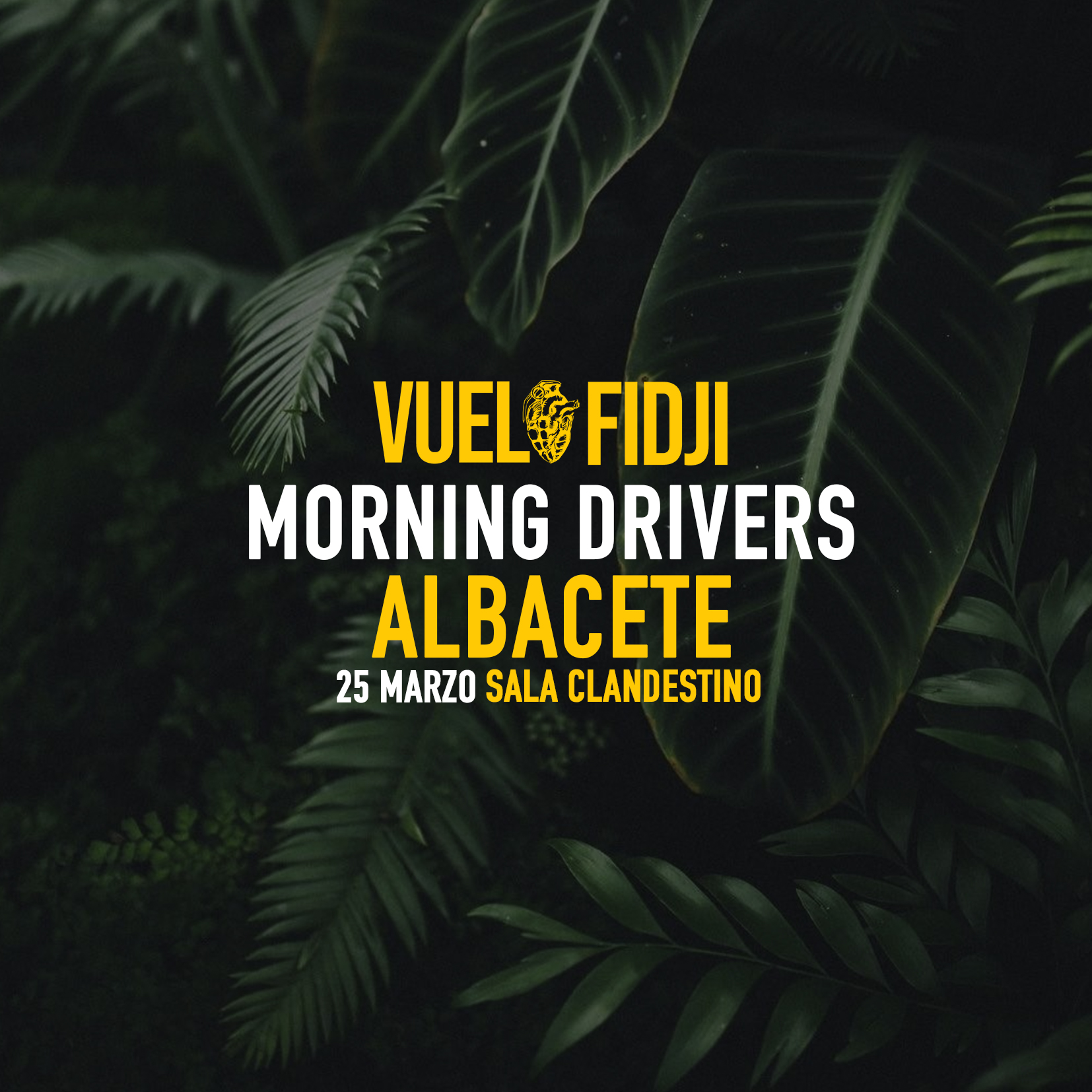concierto de vuelo fidji morning drivers en albacete 16732528310807967