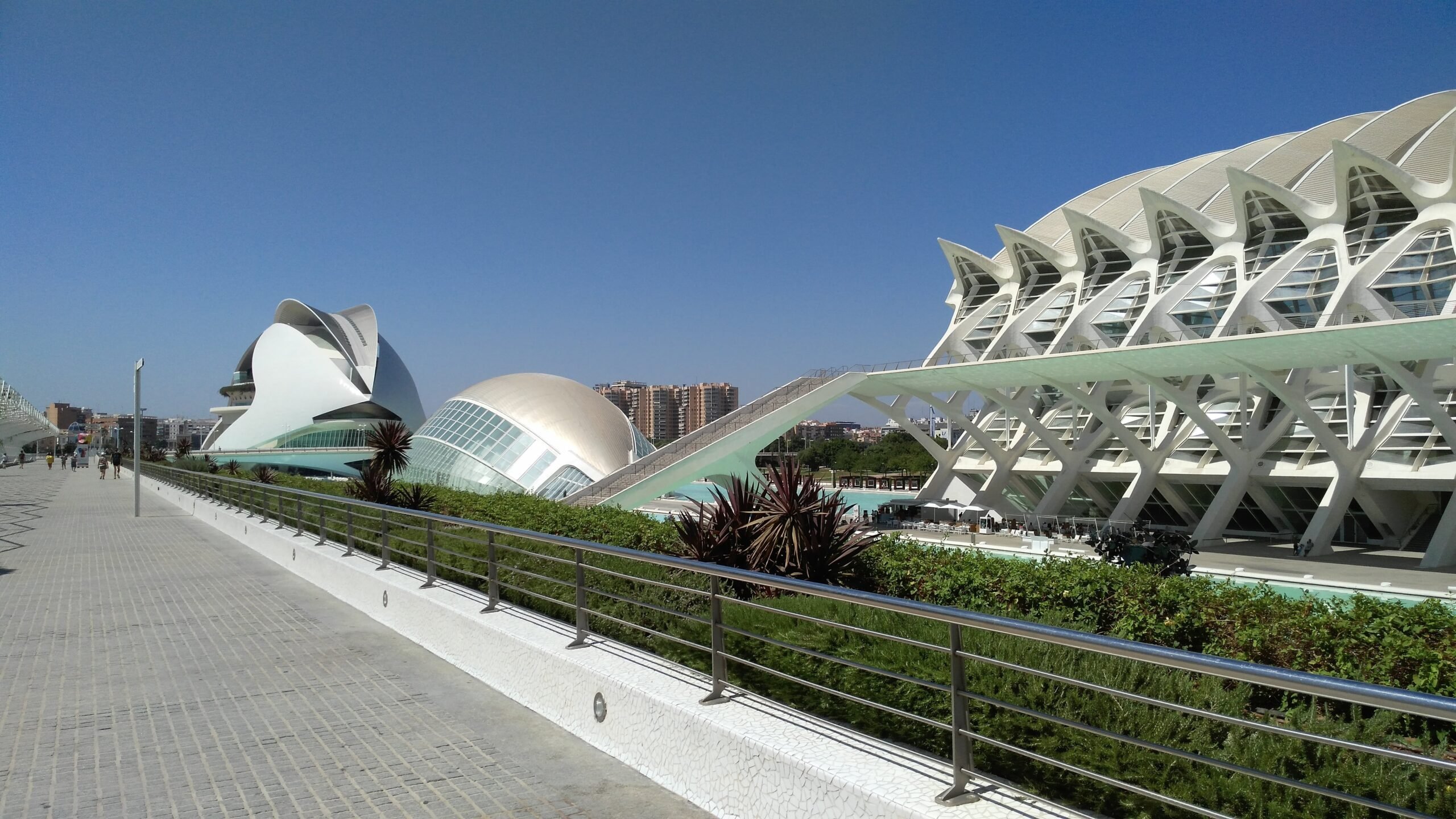 Los 3 museos imprescindibles de ciencia y naturaleza en Valencia