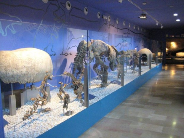Los 3 museos imprescindibles de ciencia y naturaleza en Valencia ciencias naturales