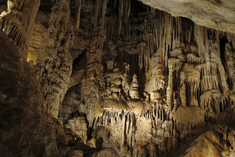 Una aventura única: adéntrate en la cueva de los murciélagos de Zuheros