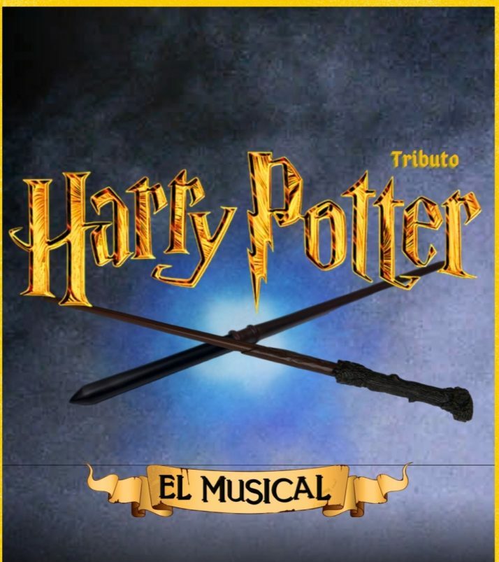 Harry Potter tributo el musical en Vigo