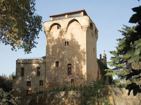castillo torremontalbo