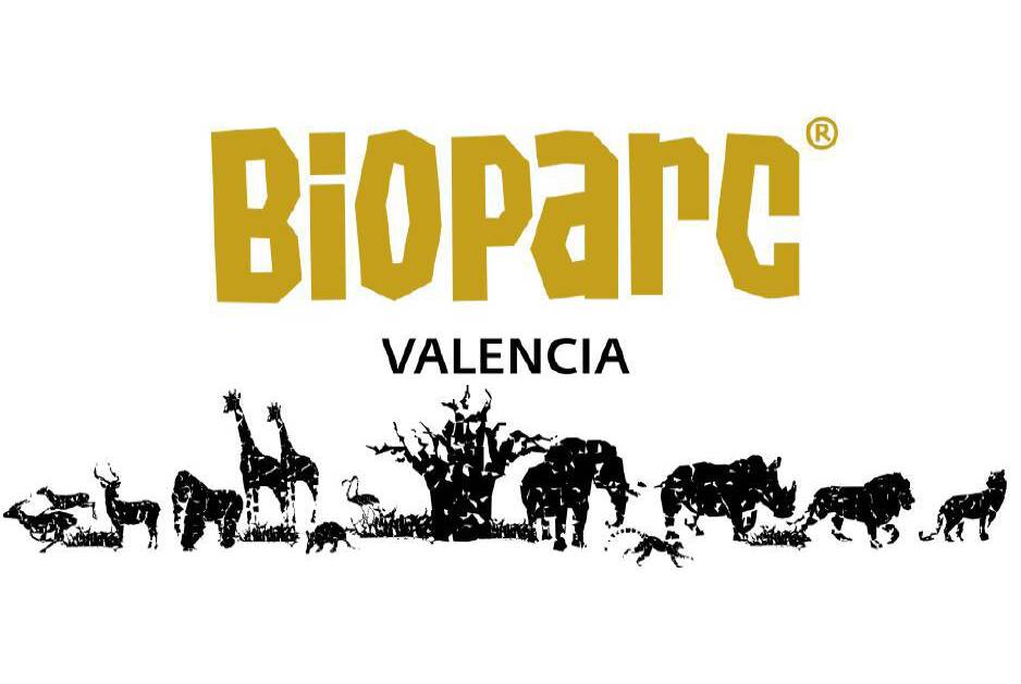 Visita educativa al Bioparc Valencia: descubre la fauna africana