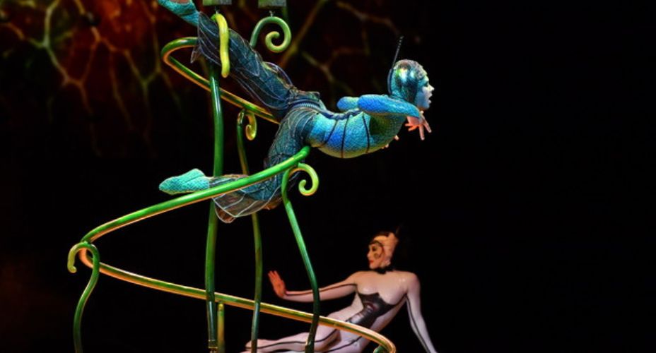 OVO, el espectáculo de Cirque du Soleil, llega a Zaragoza
