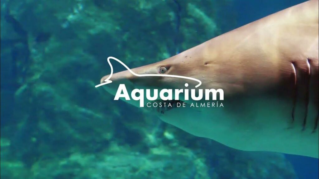 Aquarium Costa de Almeria en Roquetas de Mar 1