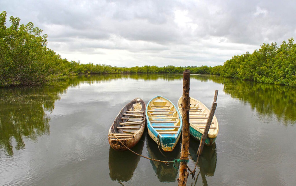 orillas del rio gambia